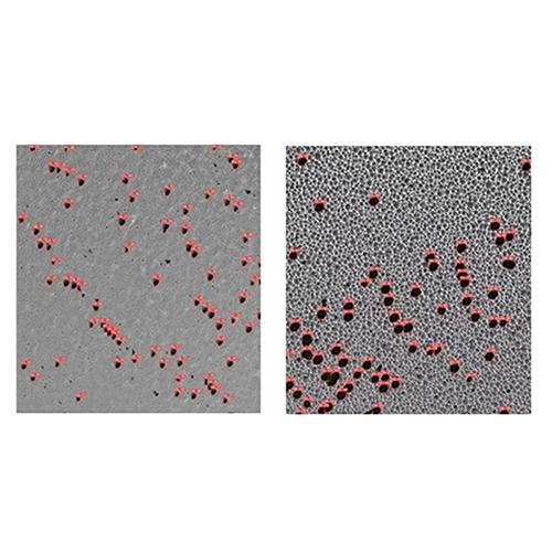 Solution for Substrate/epitaxial wafer EPD dislocation Inspection